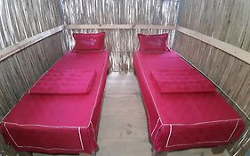 Indigenous Homestay- Trek- Food- Bus